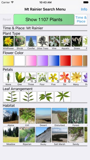 Mt Rainier Wildflowers(圖1)-速報App