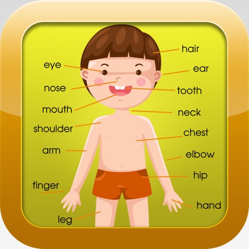 Improve app english vocabulary diction everyday icon