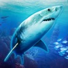 Abyss AR: Sharks & Sea Worlds