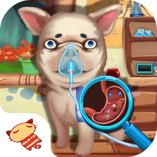 Pets Puppy Stomach Cure - Vet Play icon