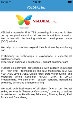 VGlobal Inc.