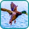 Duck Hunting Game - Bird Shot Shooting Sniper Hunt Season