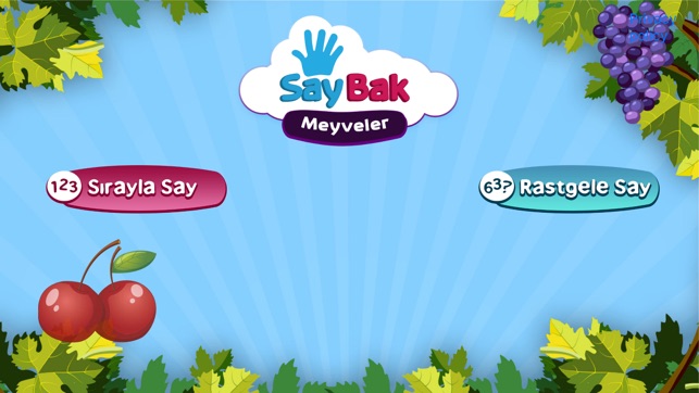 SayBak-Meyveler(圖2)-速報App