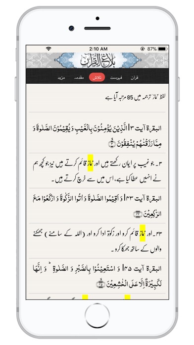 Balagh ul Quran screenshot 3