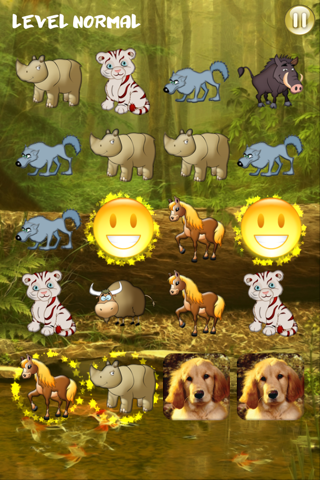 Animals Sequence screenshot 2