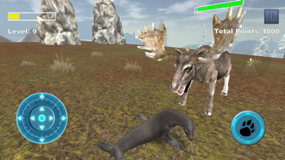 Sea Lion Simulator screenshot1