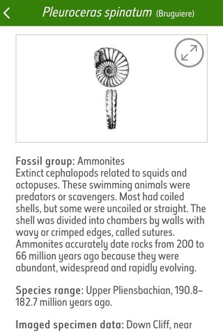 Fossil Explorer screenshot 4
