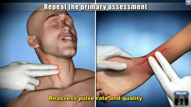 Medrills: Reassessment And Decision Making