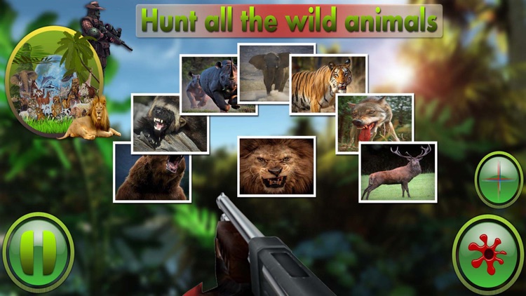 Jungle Animals Attack screenshot-4