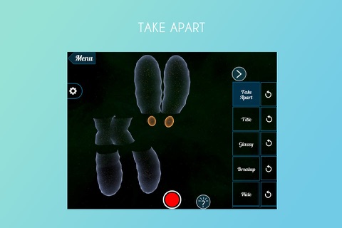 Chromosome Kinetochore 3D screenshot 2