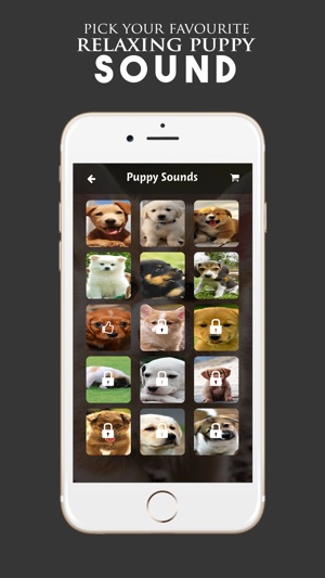 Puppy Sounds:Calming Music For Relaxation & Sleep(圖2)-速報App