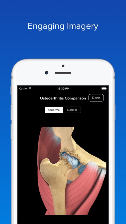 Hip Decide screenshot-3