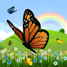 Activities of Coloring Book: Butterfly