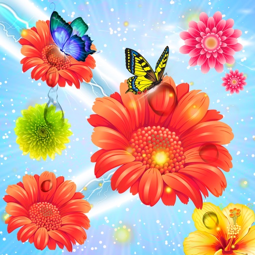 Blossom Deluxe Icon