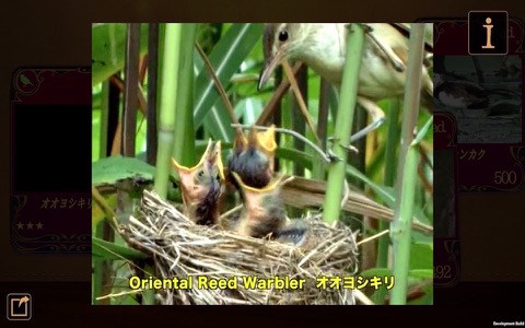 動く 野鳥コレクションのおすすめ画像1