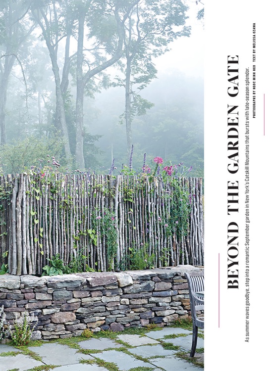 Martha Stewart Living Magazine for iPad screenshot-4