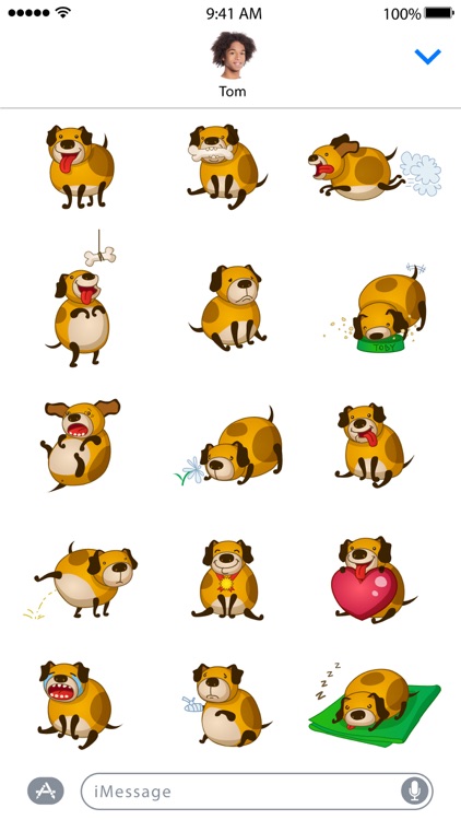 Loki the Dog