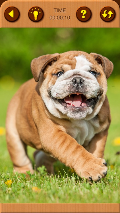 Cute Puppy Jigsaw Puzzle Games screenshot-5