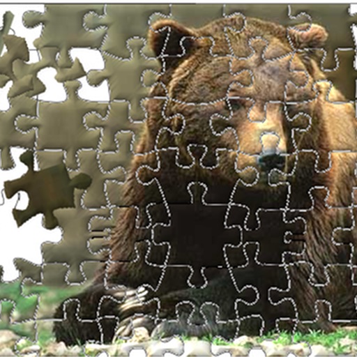 Brown Bear Jigsaw Puzzle icon