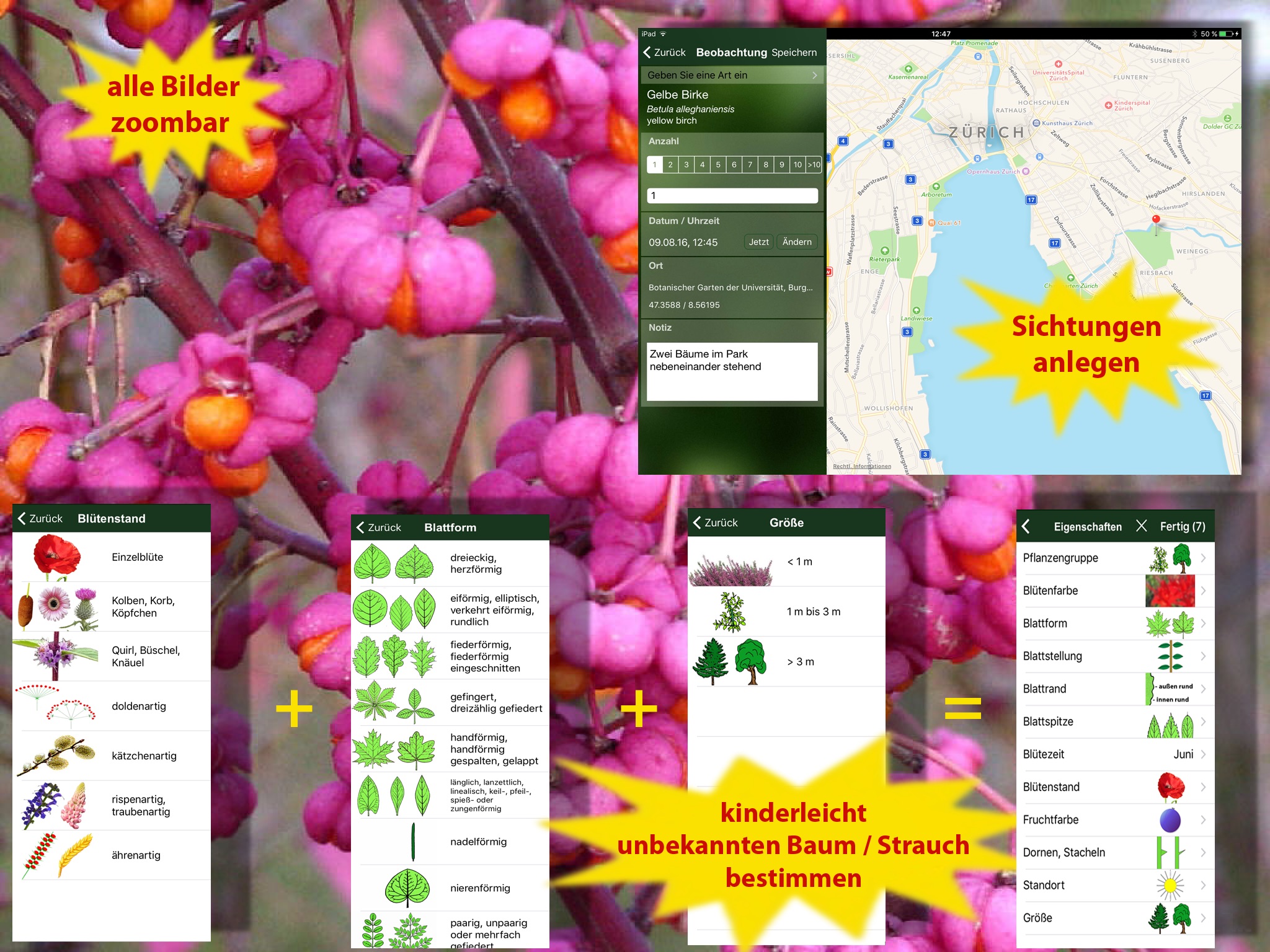 Alle Bäume Deutschland - 1000 Arten bestimmen screenshot 3