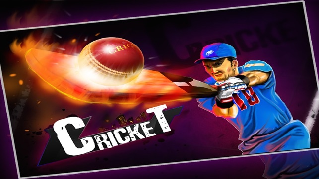 Cricket 3D : Street Challenge(圖2)-速報App