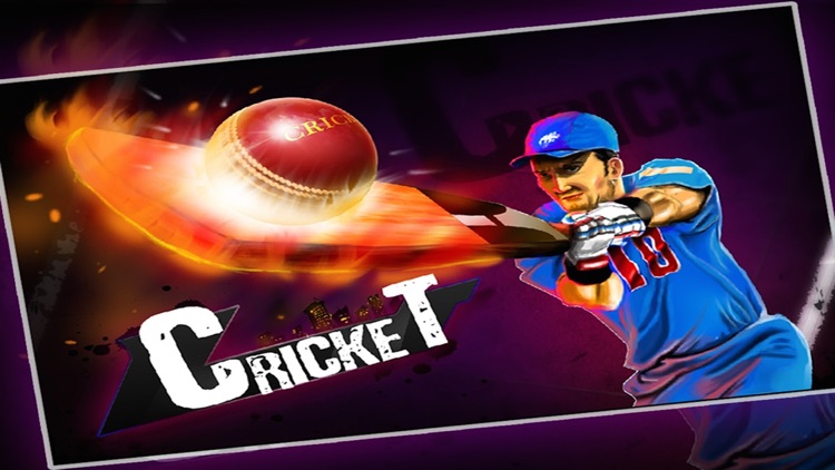 Cricket 3D : Street Challenge