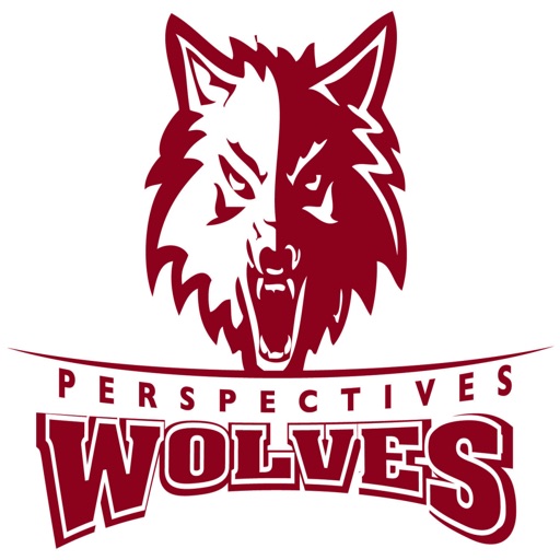 Perspectives IIT Math & Science