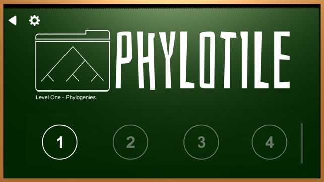 Phylotile