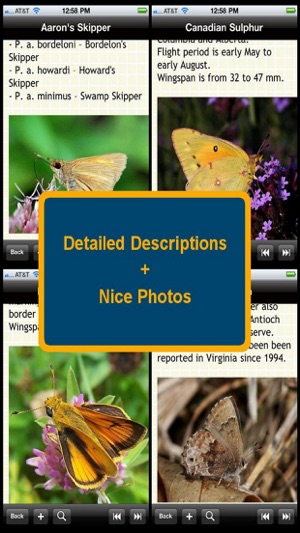 US Butterfly Bible(圖2)-速報App