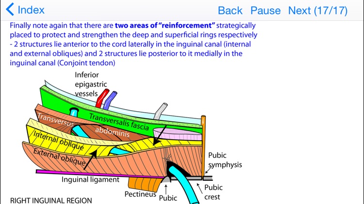 Anatomy Lectures Topics in Focus screenshot-4