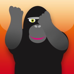 Peek-A-Boo Jungle – Play ‘N’ Learn