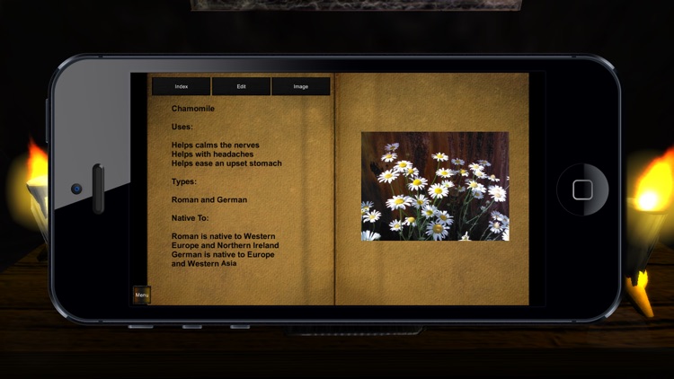 Book of Shadows Ultimate