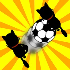 Activities of Crazy Pass Cat! -Avoid the enemy!-