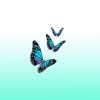 Butterflies - All Butterflies Sticker Pack