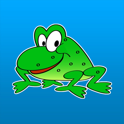 Flip Frog Colour and Sound Memory Match