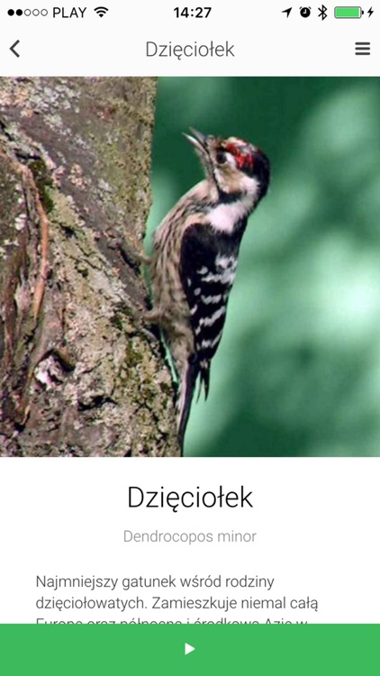 Północ-Południe screenshot-3