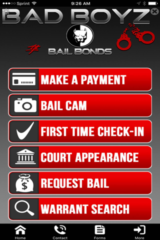 Bad Boyz Bail Bonds screenshot 3