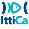 IttiCa