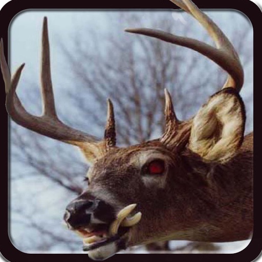 Deer Hunting Simulator Game Pro icon