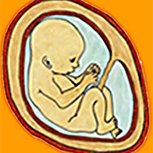 Fetal Kick Count iOS App