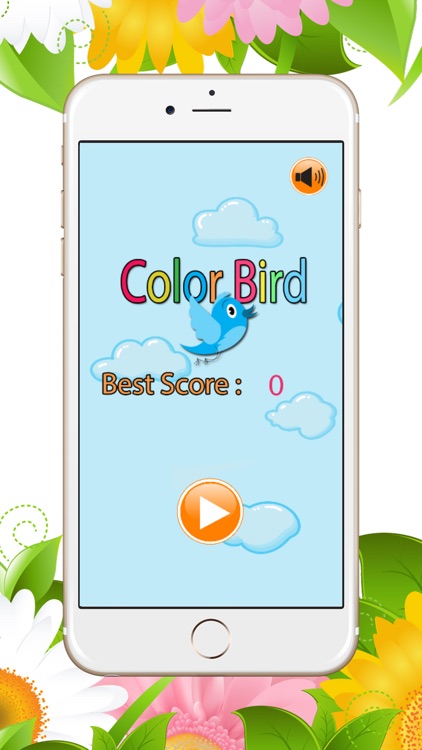 Color Bird Winner