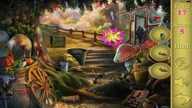 Hidden Objects Into The Forest screenshot-4