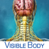 Brain and Nervous Anatomy Atlas: Essential Reference for Students and Healthcare Professionals-Visible Body