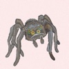 Silly Spiders by Rhea Dennis