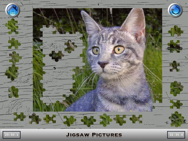 Jigsaw Puzzle Creator screenshot-4