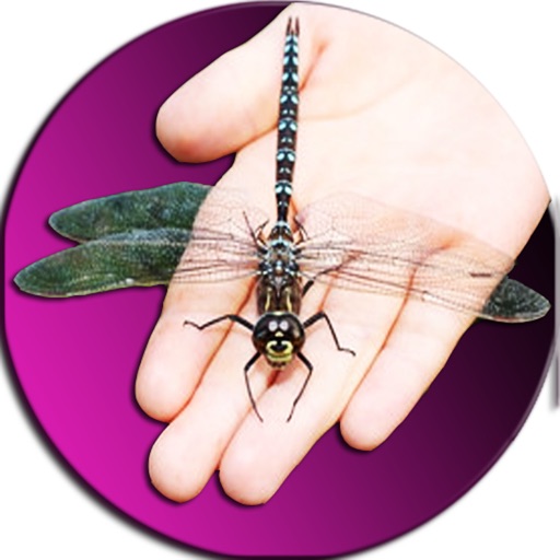 Dragonfly On Hand Simulator Prank icon