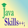 Java Skills