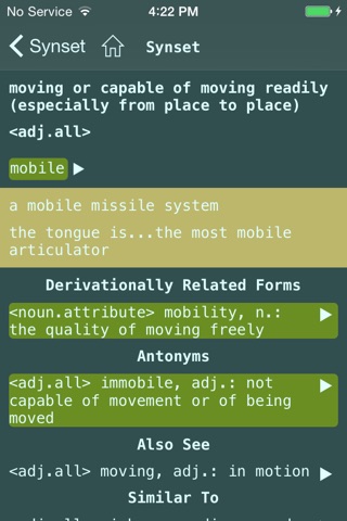Dubsar Dictionary Project screenshot 4