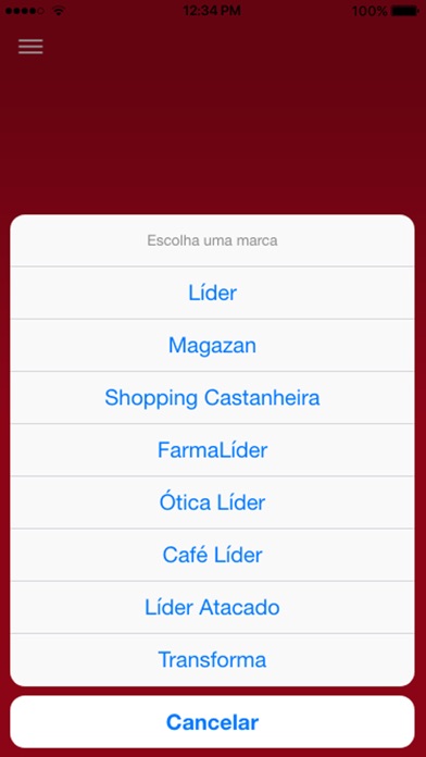 Grupo Líder screenshot 2