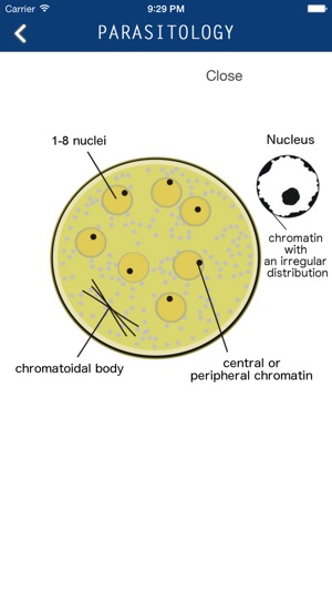 Parasitology(圖4)-速報App